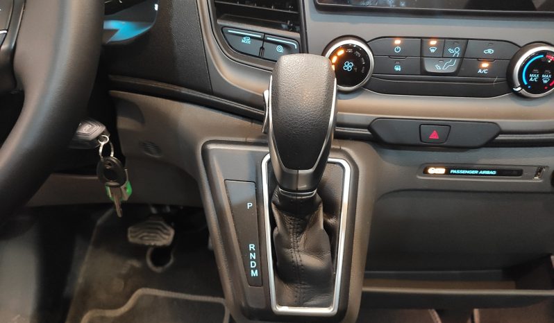 
								Giottiline SIENA 386 perfilada 6 plazas 2025 lleno									