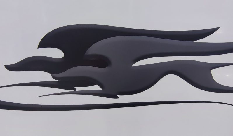 
								LAIKA ECOVIP 6 CAPUCHINA COMPACTA LITERAS 6 P. GAMA ALTA lleno									