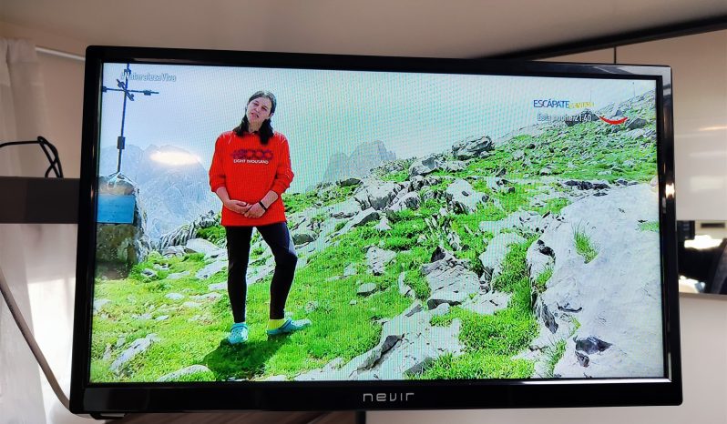 
								BENIMAR TESSORO 440 UP PERFILADA COMPACTA POCOS KMS. lleno									