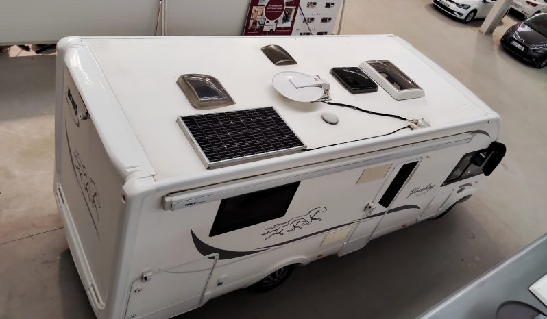 MCLOUIS NEVIS 880 SERIE LIMITADA YEARLING 881 INTEGRAL GAMA ALTA CAMA ISLA