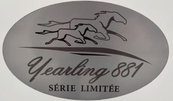 
									MCLOUIS NEVIS 880 SERIE LIMITADA YEARLING 881 INTEGRAL GAMA ALTA CAMA ISLA lleno								