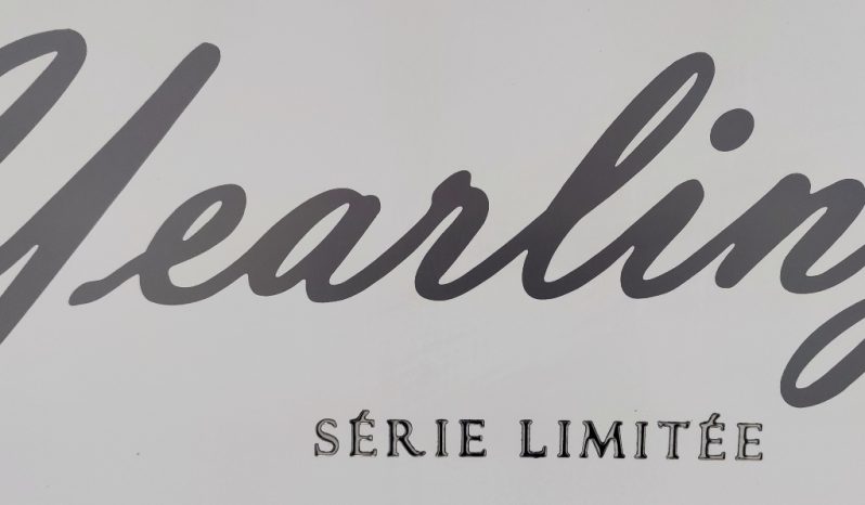 
								MCLOUIS NEVIS 880 SERIE LIMITADA YEARLING 881 INTEGRAL GAMA ALTA CAMA ISLA lleno									