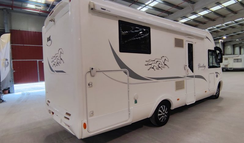 
								MCLOUIS NEVIS 880 SERIE LIMITADA YEARLING 881 INTEGRAL GAMA ALTA CAMA ISLA lleno									