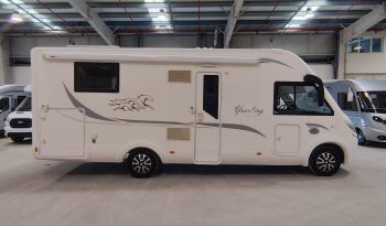 
									MCLOUIS NEVIS 880 SERIE LIMITADA YEARLING 881 INTEGRAL GAMA ALTA CAMA ISLA lleno								
