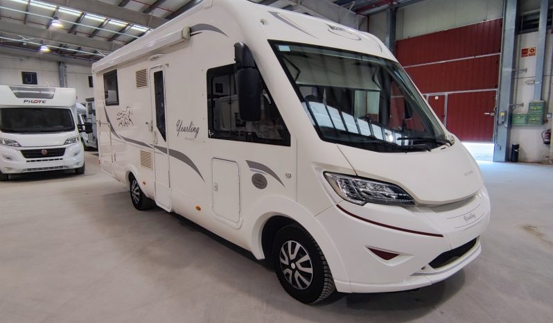 
								MCLOUIS NEVIS 880 SERIE LIMITADA YEARLING 881 INTEGRAL GAMA ALTA CAMA ISLA lleno									