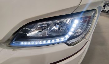 
									MCLOUIS NEVIS 880 SERIE LIMITADA YEARLING 881 INTEGRAL GAMA ALTA CAMA ISLA lleno								