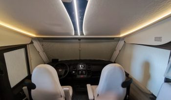 
									MCLOUIS NEVIS 880 SERIE LIMITADA YEARLING 881 INTEGRAL GAMA ALTA CAMA ISLA lleno								