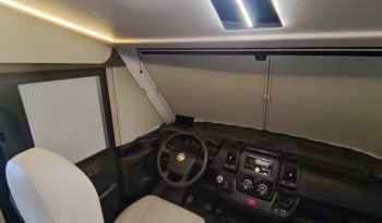 
									MCLOUIS NEVIS 880 SERIE LIMITADA YEARLING 881 INTEGRAL GAMA ALTA CAMA ISLA lleno								