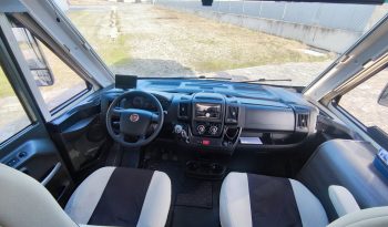 
									MCLOUIS NEVIS 880 SERIE LIMITADA YEARLING 881 INTEGRAL GAMA ALTA CAMA ISLA lleno								