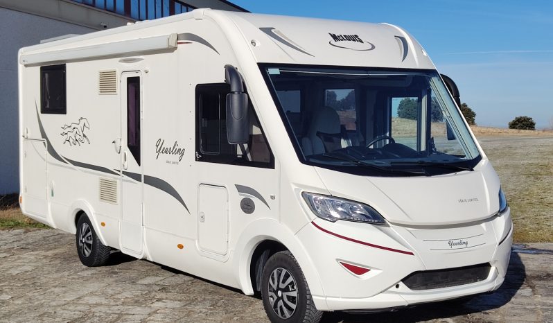 MCLOUIS NEVIS 880 SERIE LIMITADA YEARLING 881 INTEGRAL GAMA ALTA CAMA ISLA