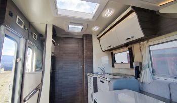 
									MCLOUIS NEVIS 880 SERIE LIMITADA YEARLING 881 INTEGRAL GAMA ALTA CAMA ISLA lleno								