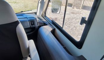 
									MCLOUIS NEVIS 880 SERIE LIMITADA YEARLING 881 INTEGRAL GAMA ALTA CAMA ISLA lleno								