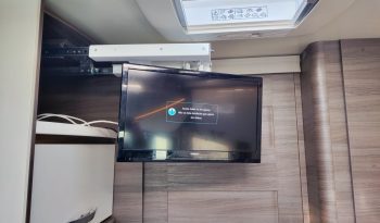 
									MCLOUIS NEVIS 880 SERIE LIMITADA YEARLING 881 INTEGRAL GAMA ALTA CAMA ISLA lleno								