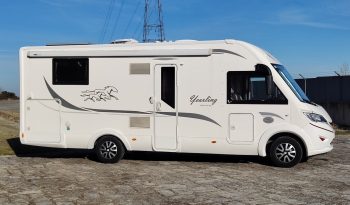 
									MCLOUIS NEVIS 880 SERIE LIMITADA YEARLING 881 INTEGRAL GAMA ALTA CAMA ISLA lleno								