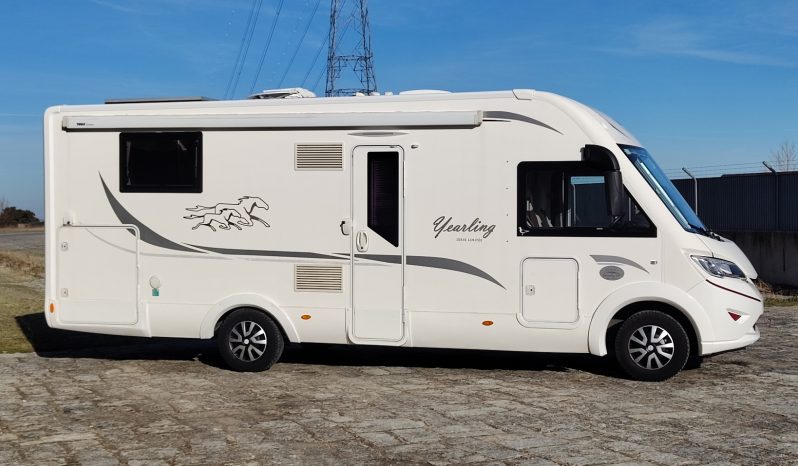 MCLOUIS NEVIS 880 SERIE LIMITADA YEARLING 881 INTEGRAL GAMA ALTA CAMA ISLA