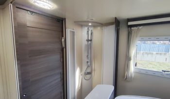 
									MCLOUIS NEVIS 880 SERIE LIMITADA YEARLING 881 INTEGRAL GAMA ALTA CAMA ISLA lleno								