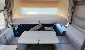 
									MCLOUIS NEVIS 880 SERIE LIMITADA YEARLING 881 INTEGRAL GAMA ALTA CAMA ISLA lleno								