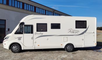 
									MCLOUIS NEVIS 880 SERIE LIMITADA YEARLING 881 INTEGRAL GAMA ALTA CAMA ISLA lleno								