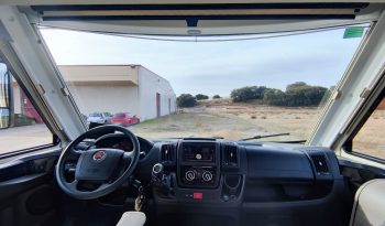 
									MCLOUIS NEVIS 880 SERIE LIMITADA YEARLING 881 INTEGRAL GAMA ALTA CAMA ISLA lleno								