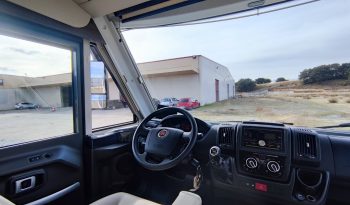 
									MCLOUIS NEVIS 880 SERIE LIMITADA YEARLING 881 INTEGRAL GAMA ALTA CAMA ISLA lleno								