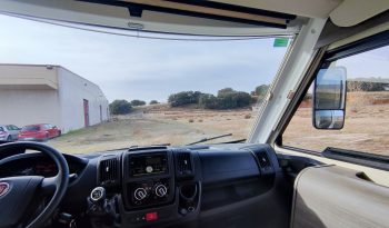 
									MCLOUIS NEVIS 880 SERIE LIMITADA YEARLING 881 INTEGRAL GAMA ALTA CAMA ISLA lleno								