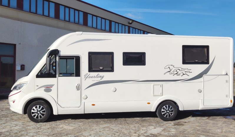 
								MCLOUIS NEVIS 880 SERIE LIMITADA YEARLING 881 INTEGRAL GAMA ALTA CAMA ISLA lleno									