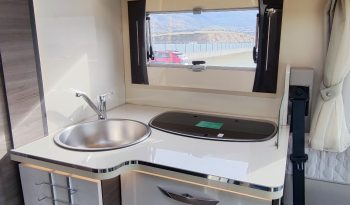 
									MCLOUIS NEVIS 880 SERIE LIMITADA YEARLING 881 INTEGRAL GAMA ALTA CAMA ISLA lleno								