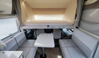 
									MCLOUIS NEVIS 880 SERIE LIMITADA YEARLING 881 INTEGRAL GAMA ALTA CAMA ISLA lleno								