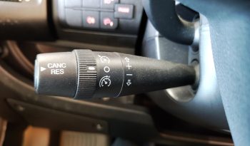 
									MCLOUIS NEVIS 880 SERIE LIMITADA YEARLING 881 INTEGRAL GAMA ALTA CAMA ISLA lleno								