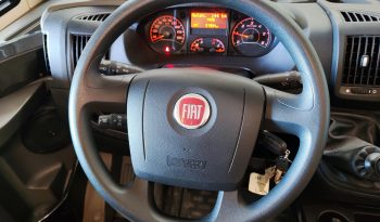 
									MCLOUIS NEVIS 880 SERIE LIMITADA YEARLING 881 INTEGRAL GAMA ALTA CAMA ISLA lleno								