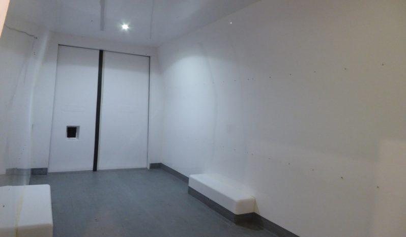 
								IVECO DAILY 35S 160 CV, 4100H2 FRC -20ºC lleno									