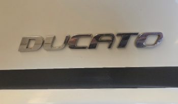 
									ADRIA CORAL A 690 SC FIAT DUCATO CAMA ISLA GAMA ALTA POCOS KMS lleno								